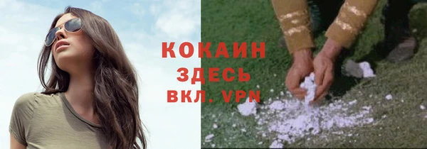 стаф Абаза