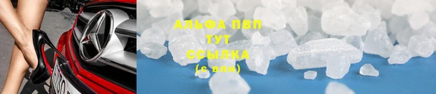 стаф Абаза