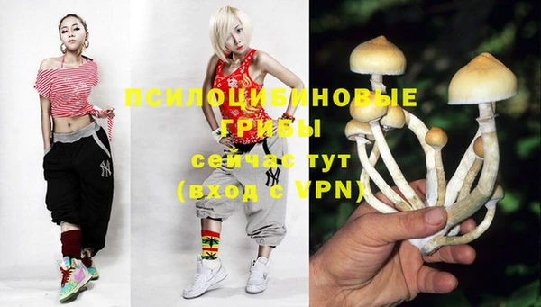 ALPHA PVP Абинск