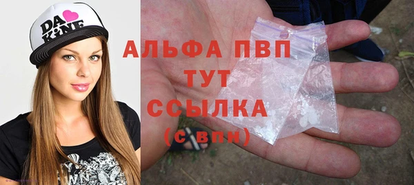 стаф Алексин